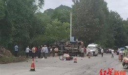 南充南部县新闻爆料,突发事件引发关注，详情即将揭晓