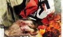 战火羔羊 在线观看,燃烧的青春，无畏的战斗