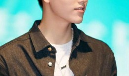 圈内爆料陈飞宇王一博,娱乐圈的神秘邂逅